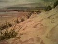cambersands1