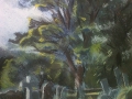 img00298-20120915-1822